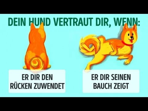 Rote Wurzel für Prostata-Adenom Prostatakrebs Brachytherapie