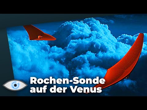 Auf der Suche nach außerirdischem Leben: NASA will dunkle Seite der Venus erforschen