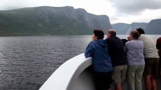 A Boat Tour to Remember: Western Brook Pond - Newfoundland and Labrador, Canada