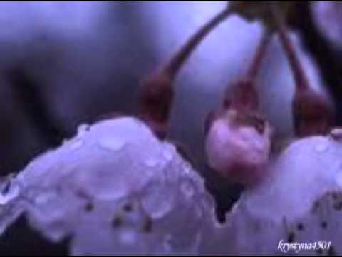 ZA NAMI MIŁOŚĆ   WIESŁAW BEDNAREK