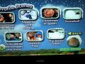 Teletubbies Christmas In The Snow DVD Walkthrough