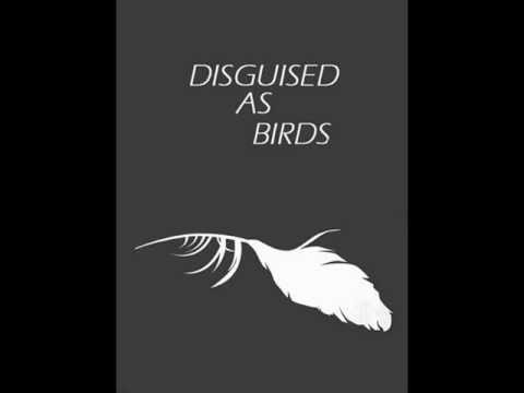 Disguised As Birds - Seeds