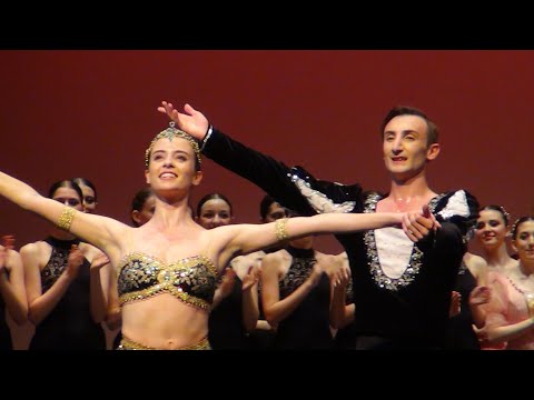 Accademia Ucraina di Balletto: Gala di Danza Classica e Contemporanea con Ramon Agnelli