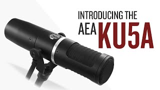 Introducing the AEA KU5A Supercardioid Ribbon Microphone