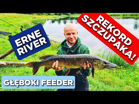 324 PIKE RECORD - ERNE RIVER - DEEP FEEDER