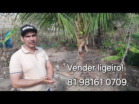 Terreno pra vender no sítio Juliana,em Santa Maria do Cambucá,a 17km de Surubim PE.