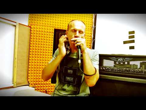 Dubharp harmonica cover - Bubble Riddim - Philip "Fattis" Burrell