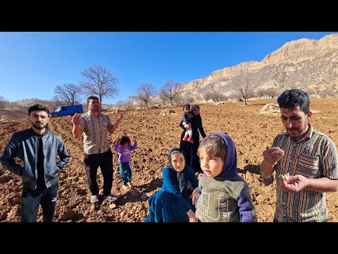 Germination of seeds: family trip to agricultural land!