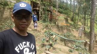 preview picture of video 'Wanna wisata "Coffee park" Sigedong, Bumijawa, Tegal'