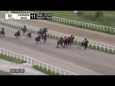 CARRERAS HIPÓDROMO LAS PIEDRAS 28/11/25 | EN VIVO | URUGUAY