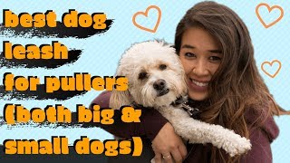 Best Dog Leash For Pullers (Choosing a Dog Leash)