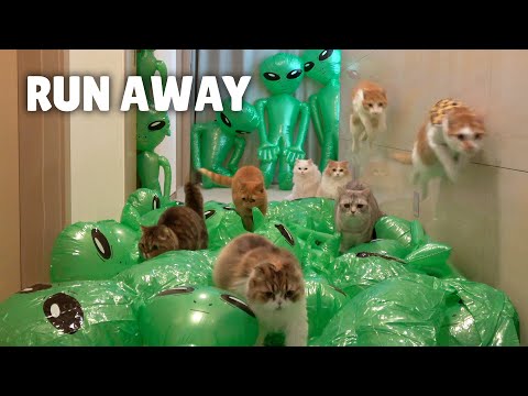 Extreme Alien Escape Challenge