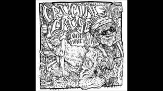 Crucial Cause - Victim in Pain [Agnostic Front Cover]