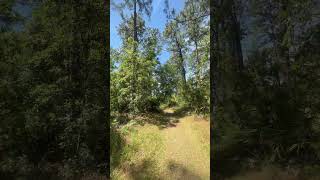 Download lagu rate how pretty this trail is! mp3