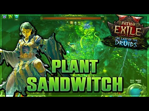 Plant Farmer Entangle Disciple of Varashta Sorceress Mini Build Guide 0.4 - Path of Exile 2