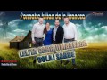 FORMATIA IULIAN DE LA VRANCEA LELITA CARCIUMAREASA COLAJ SARBE 2016