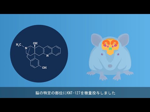オピオイドδ受容体作動薬KNT-127で恐怖記憶を軽減