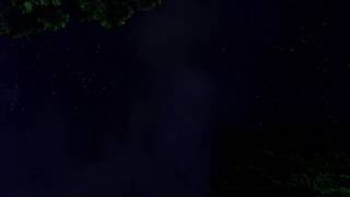 天の川銀河と雲とトトロの木日暮れから夜微速度撮影屋久島yakushima