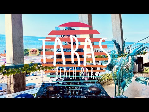 MIQRO Live @ Taras Beach Bar, Rewal 15.08.2024