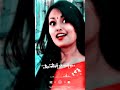 Shona Phaki | Sylhety Romantic Song 2023 | Sona Pakhi Sylhet Song 2023. lyrics music 24 #shona_phaki