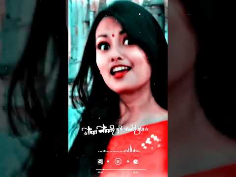 Shona Phaki | Sylhety Romantic Song 2023 | সোনা পাখি সিলেটি গান ২০২৩ । lyrics music 24 