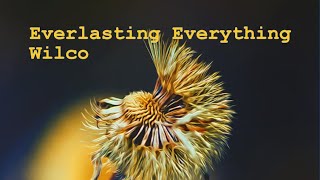 Wilco - Everlasting Everything