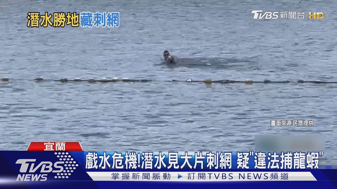 戲水危機!潛水見大片刺網 疑「違法捕龍蝦」