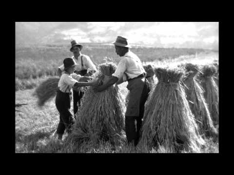 Bennie Moten's Kansas City Orchestra - THAT TOO, DO - 1930