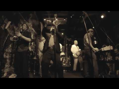 The Slackers in Austin,Texas What Went Wrong