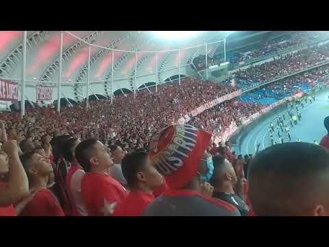 "La hinchada de los cantos alentando - América vs Medellin - Copa Sudamericana 2022" Barra: Baron Rojo Sur • Club: América de Cáli