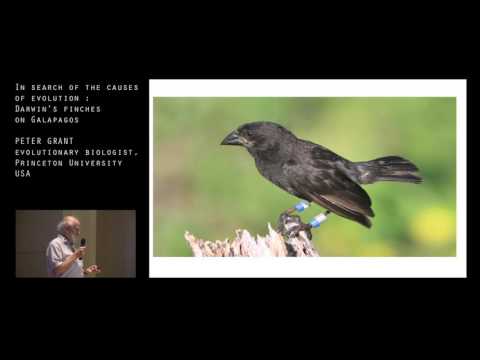 ROSEMARY & PETER GRANT