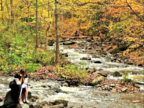 Nicholas Disimone - Midstream and Magnetic