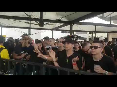 Shinedoe 🇳🇱💣