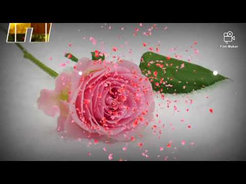 I ngak kumthak - Nienglawmkim