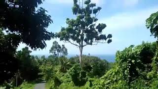 preview picture of video 'Pardidu ron gunung jailolo'
