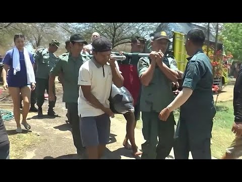 Bali: 4 Delfine aus Hotelpool gerettet, 1 Delfin tot