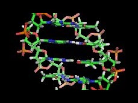 Jombang Jet 3D rotating DNA molecule