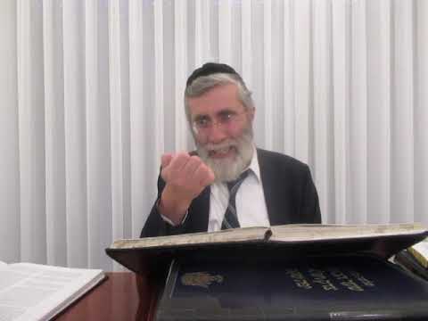 הרב יהושע ביבי - תשפ"ו - שער המצוות - שיעור מס' 009 - ענין לבושי הצל''ם והנפק''מ