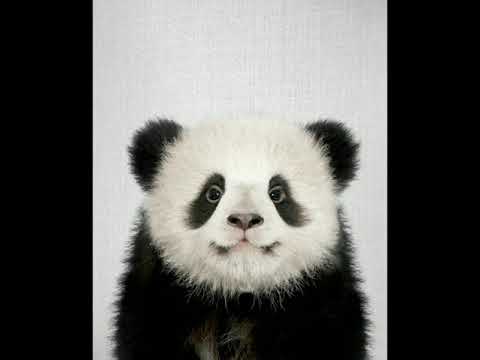 M-Dot feat. Virtuoso amp. V.Knuckles-Muscle Master Escalade (Ted Koppel)