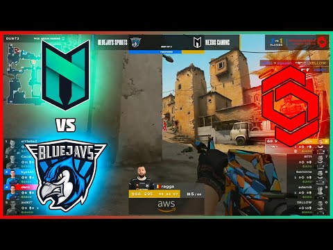 Nexus vs BLUEJAYS | CCT Central Europe Series 2 - HiGHLiGHTS | CSGO