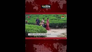 সিলেটে পর্যটকের ঢল, বুকিং নেই হোটেল-রিসোর্টে l Sylhet Tourism l Hotel Booking l Deepto news