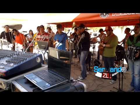 Los Mayitos De Sinaloa Ft. Banda Punto Medio - Te Olvidare (En Vivo 2013)