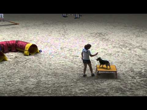 European Open 2013 - Individual finals small - Päivi Männistö-Rahunen and Lätty.