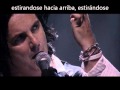 Marillion - The Wound (Traducción al español)