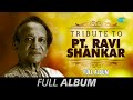 Tribute To Pt. Ravi Shankar - Instrumental | Pather Pachali | Aparajito | Apur Sansar