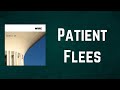Wire - Patient Flees (Lyrics)