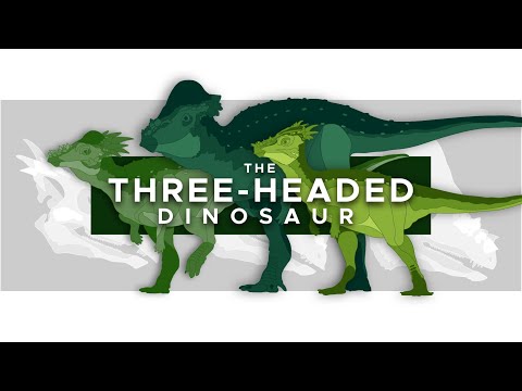 Pachycephalosaurus: Are Stygimoloch and Dracorex Valid?