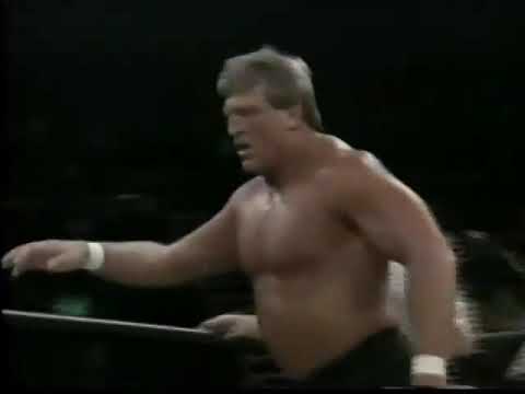 Pretty Wonderful (Paul Orndorff Paul Roma) vs. Brian Armstrong Todd Morton - 9/28/1994 - WCW