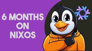 I've Used NixOS for 6 Months - Here Are My Thoughts So Far