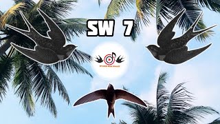 Download lagu SW 7 - REKAMAN SUARA WALET ORIGINAL TANPA EDIT | STUDIO MINI WALET mp3